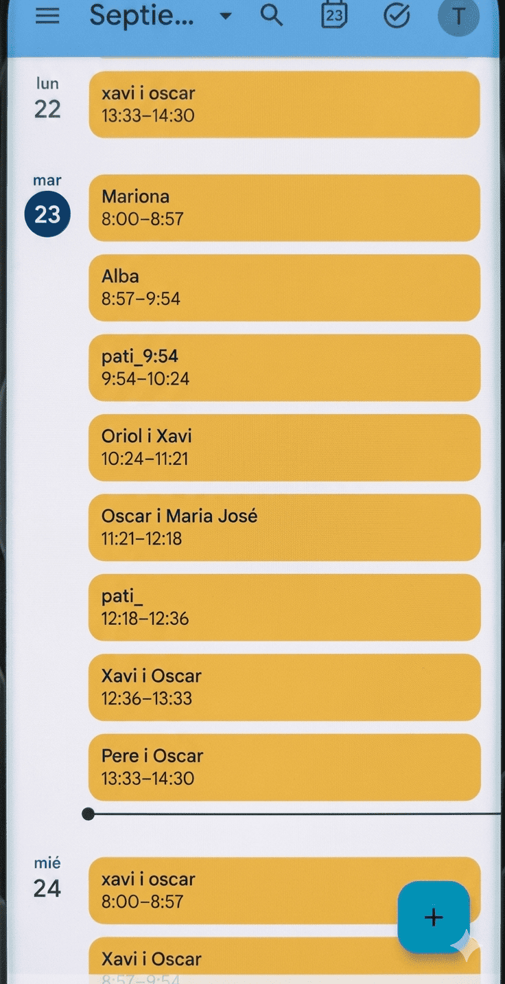 Sincronització Google Calendar mòbil