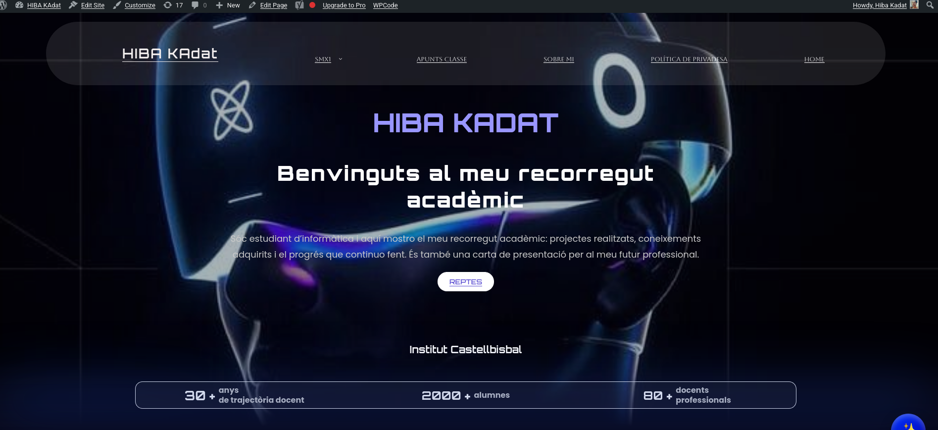 Resultat final del lloc web amb la paleta aplicada