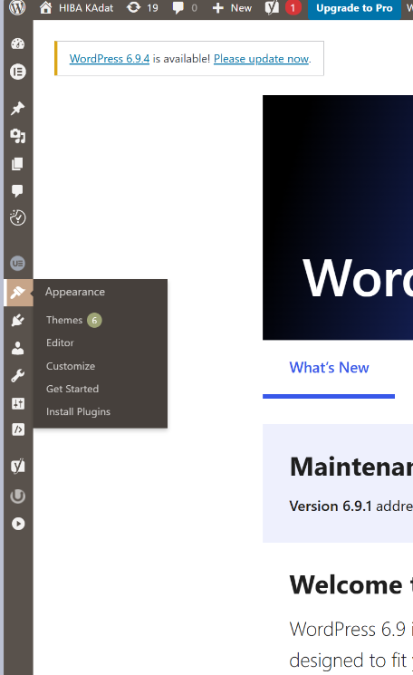Pas 1 — Accés a la configuració del menú a WordPress