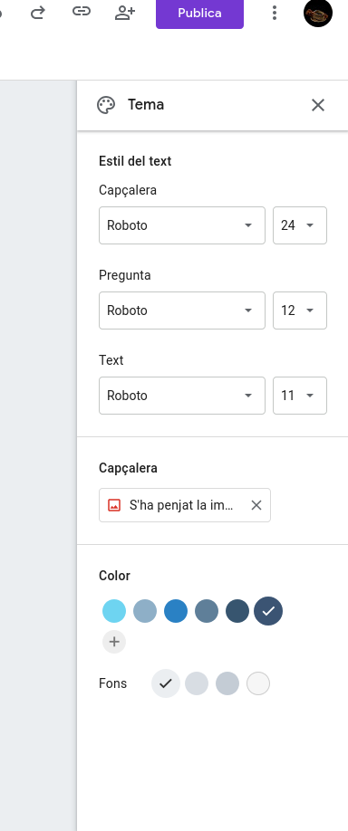 Personalització visual del formulari