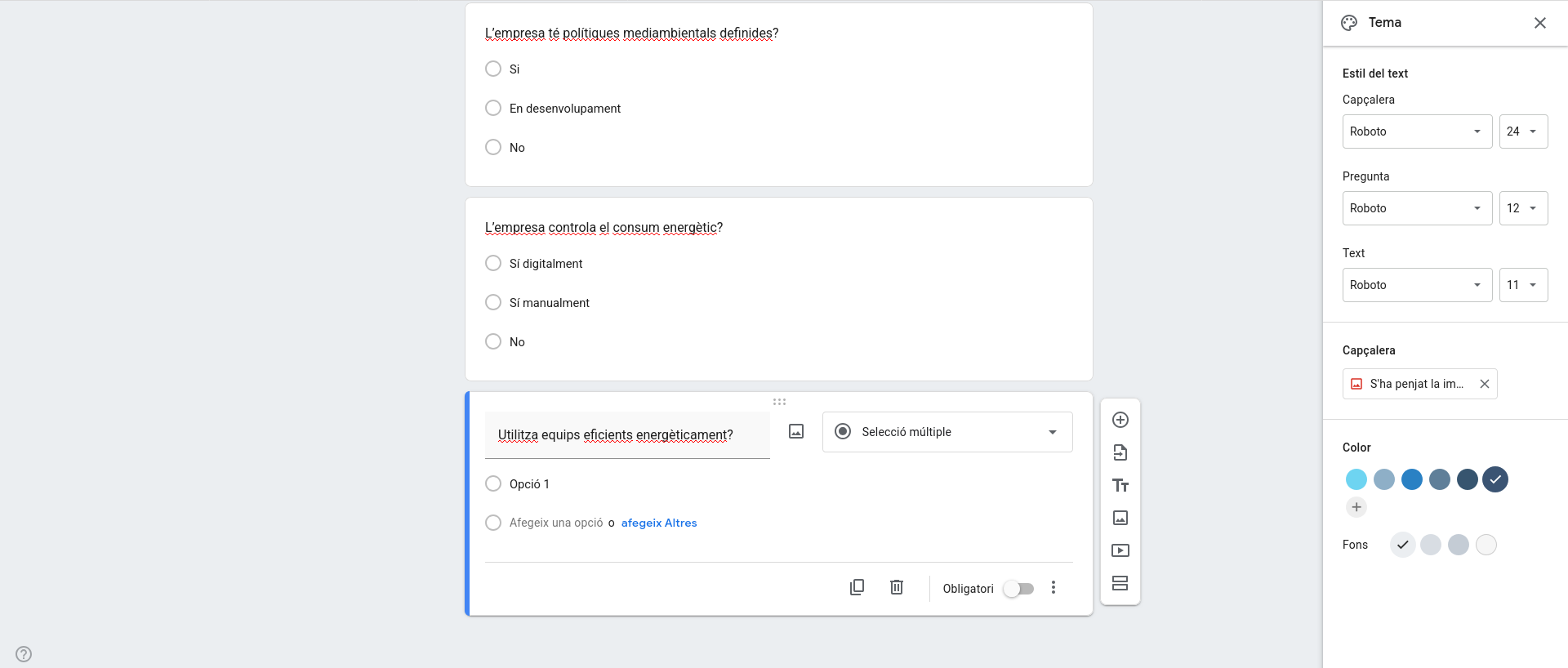 Preguntes del formulari - varietat de tipus