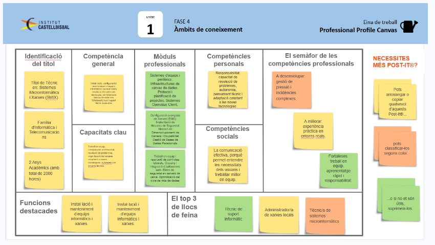 Professional Profile Canvas completat