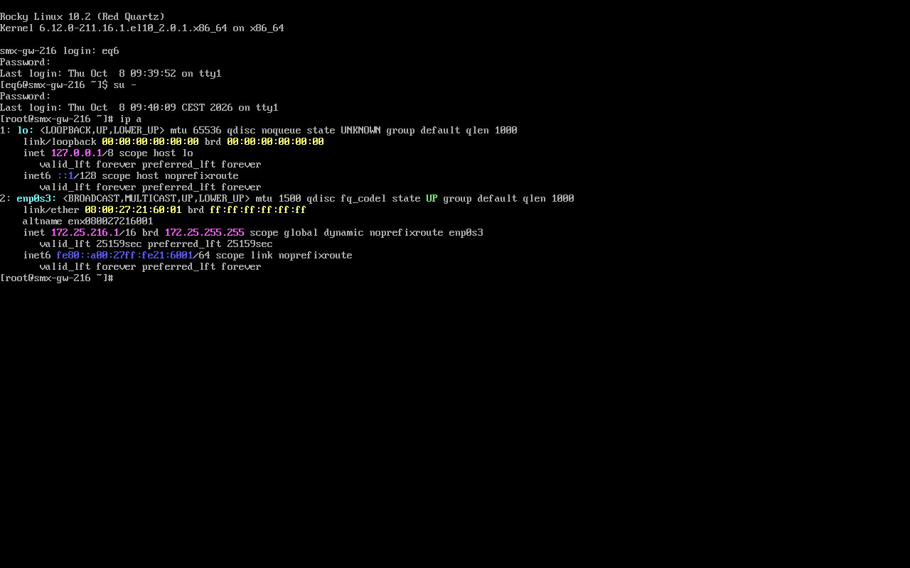 ip addr show