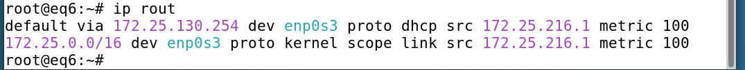 ip route result