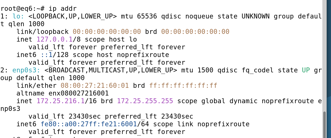 ip addr result